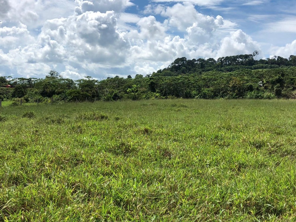 Vende-se sitio 10 alqueiros a 8 km de Jaru