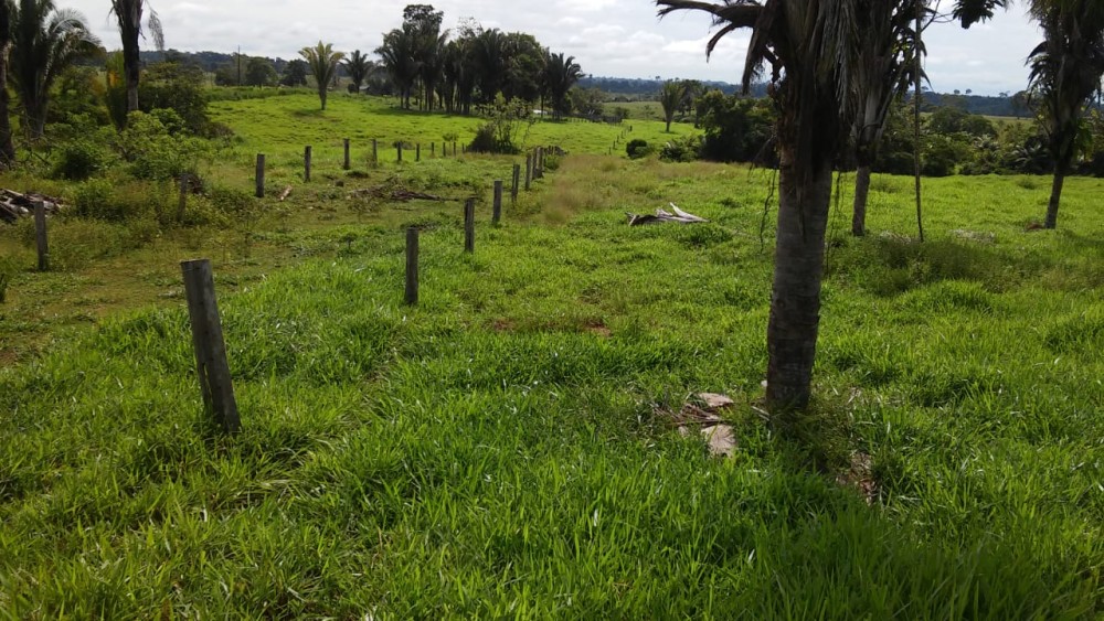 Vende-se terra a 5 km de Theobroma