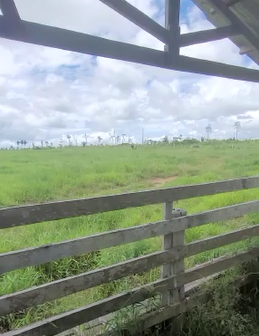 Fazenda com 250 alqueires á 15 km de Cujubim