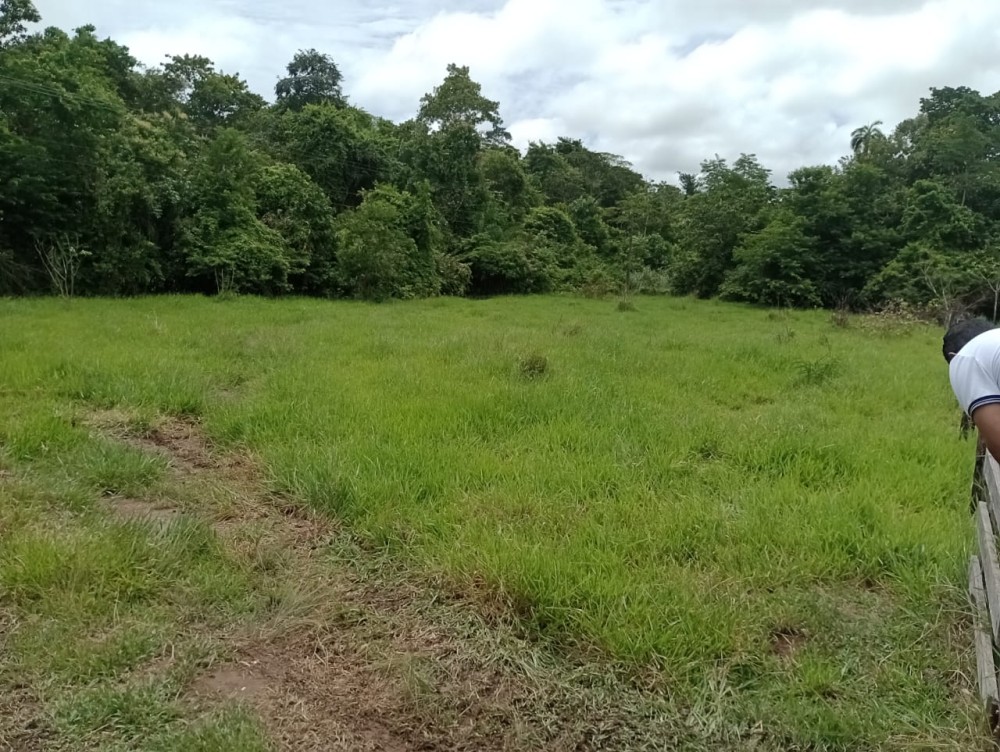 Vende-se sitio  a 20 km de Jaru