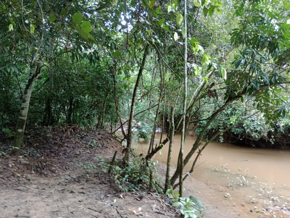 Vende-se sitio  a 20 km de Jaru