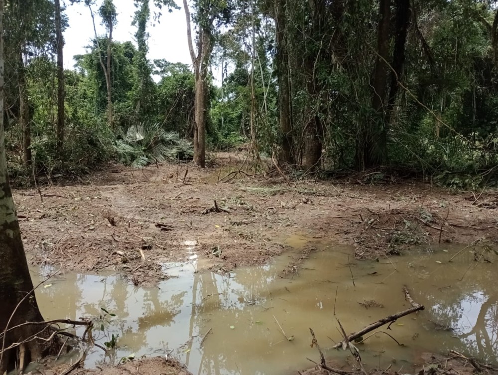 Vende-se sitio  a 20 km de Jaru