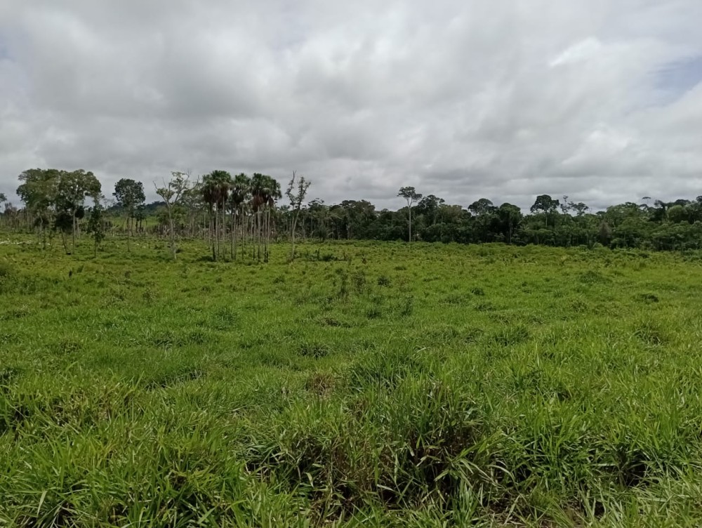 Vende-se sitio  a 20 km de Jaru