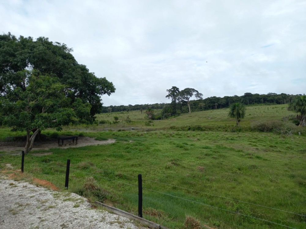 Vende-se fazenda com 117 hectares de pasto em Pimenta Bueno Vende-se fazenda com 117 hectares de pasto em Pimenta Bueno