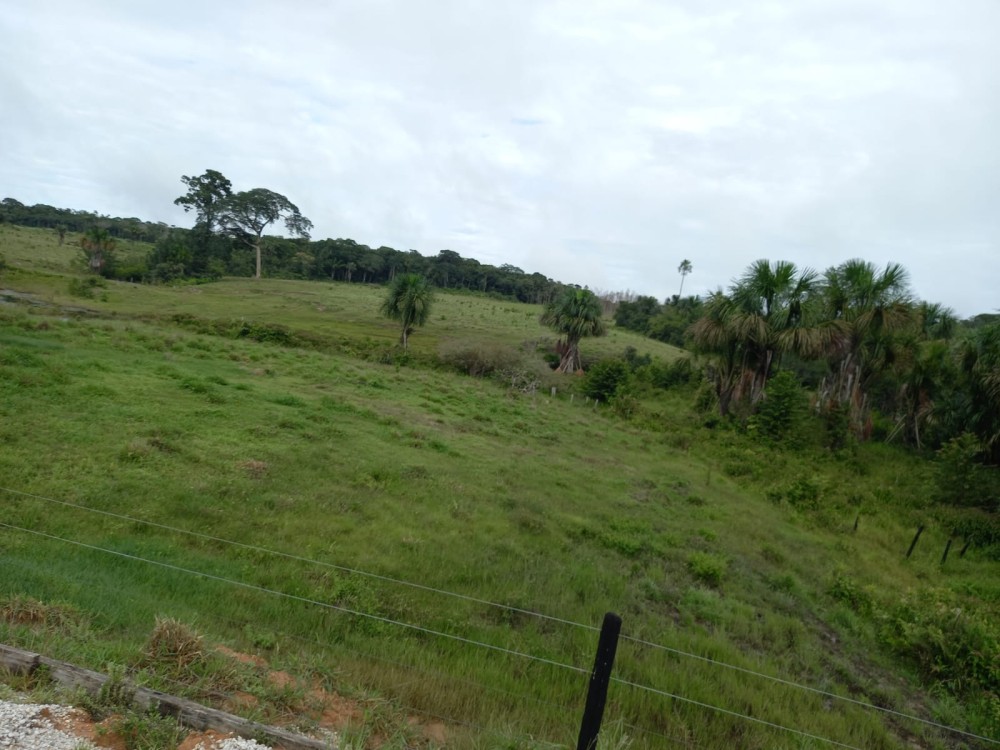 Vende-se fazenda com 117 hectares de pasto em Pimenta Bueno Vende-se fazenda com 117 hectares de pasto em Pimenta Bueno