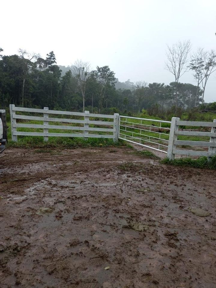 Vende-se fazenda em ótima localidade na cidade de Jaru com 41.6 alqueires