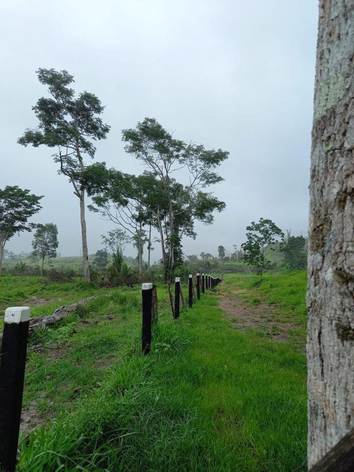 Vende-se fazenda em ótima localidade na cidade de Jaru com 41.6 alqueires