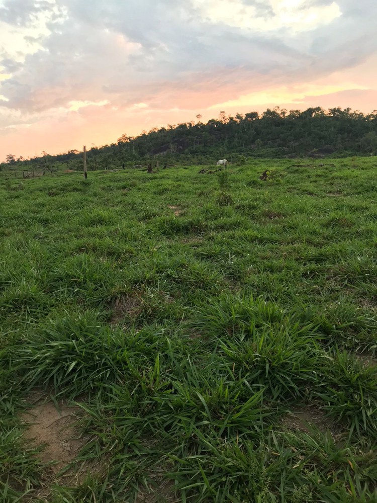 Vende-se Fazenda na estrada capim em pimenta bueno