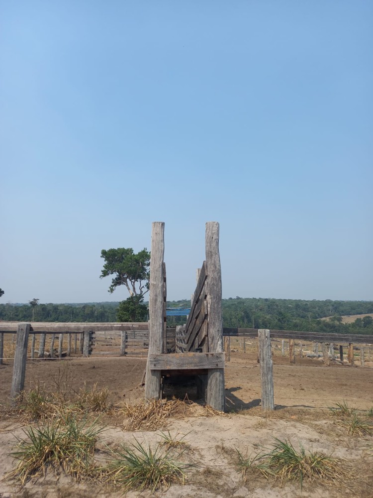 Vende-se Fazenda na estrada capim em pimenta bueno