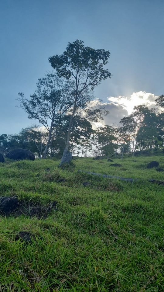 Vende-se sitio de 8,5 alqueires a 900 metros do centro de Governador Jorge Texeira