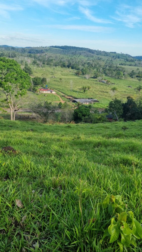 Vende-se sitio de 8,5 alqueires a 900 metros do centro de Governador Jorge Texeira