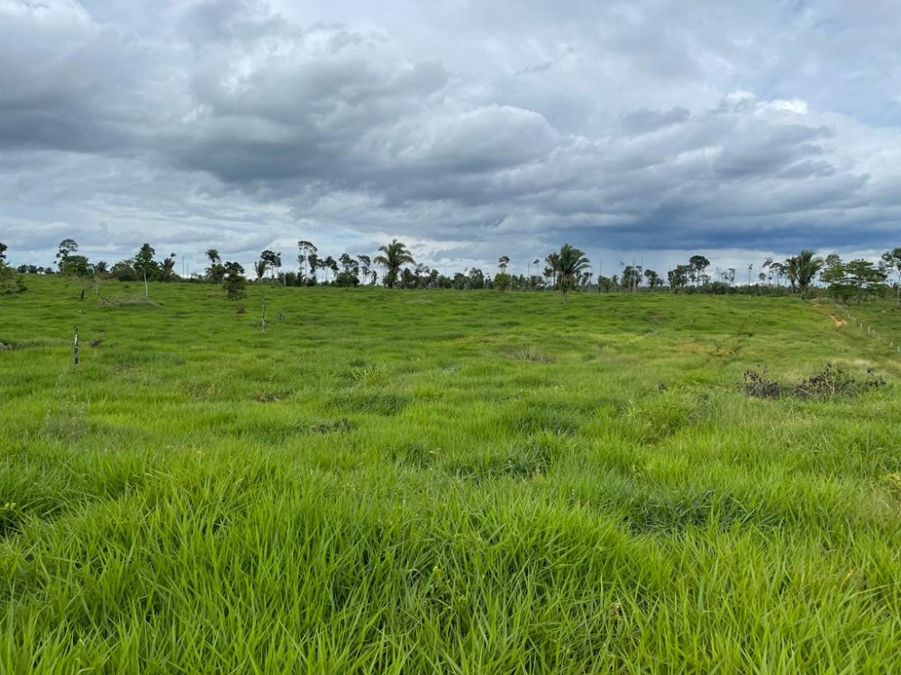 TERRA A VENDA   33KM DE THEOBROMA