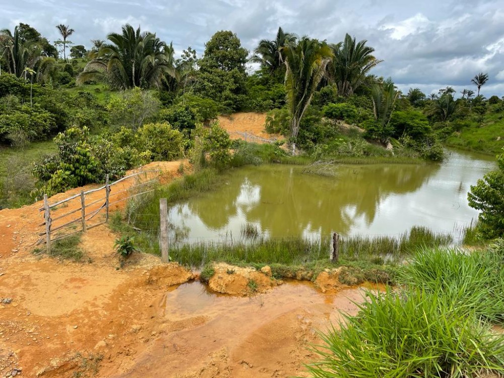 TERRA A VENDA   33KM DE THEOBROMA