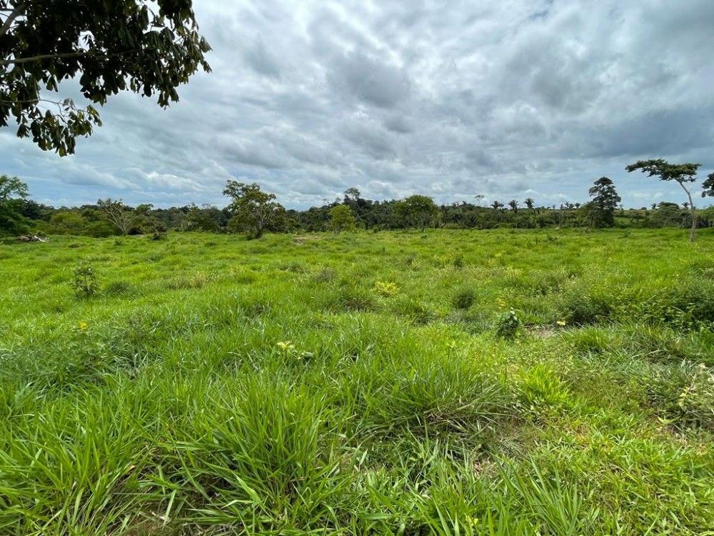 TERRA A VENDA   33KM DE THEOBROMA