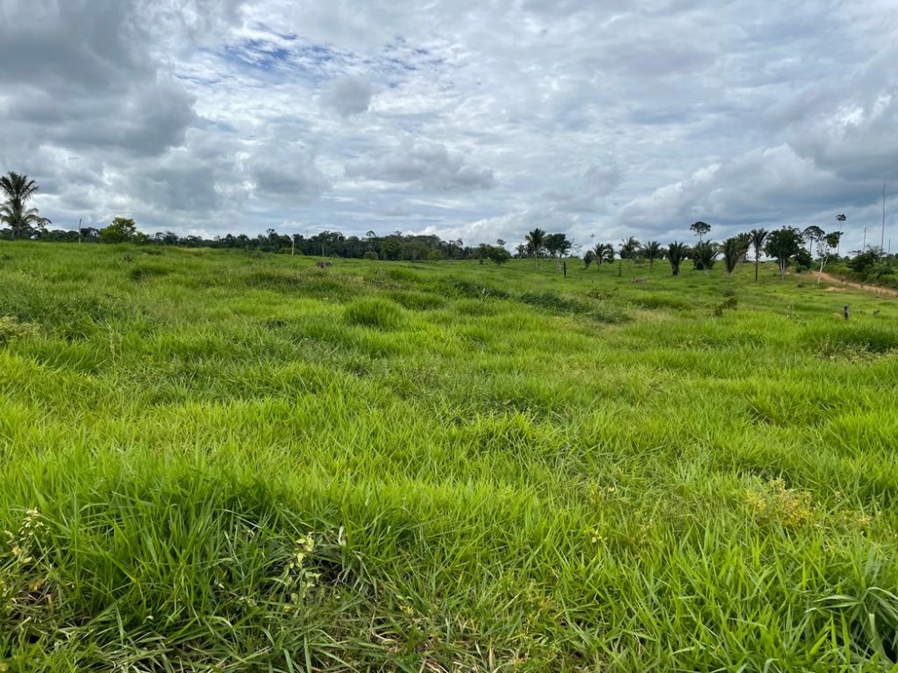 TERRA A VENDA   33KM DE THEOBROMA