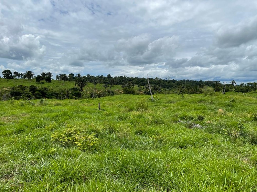 TERRA A VENDA   33KM DE THEOBROMA