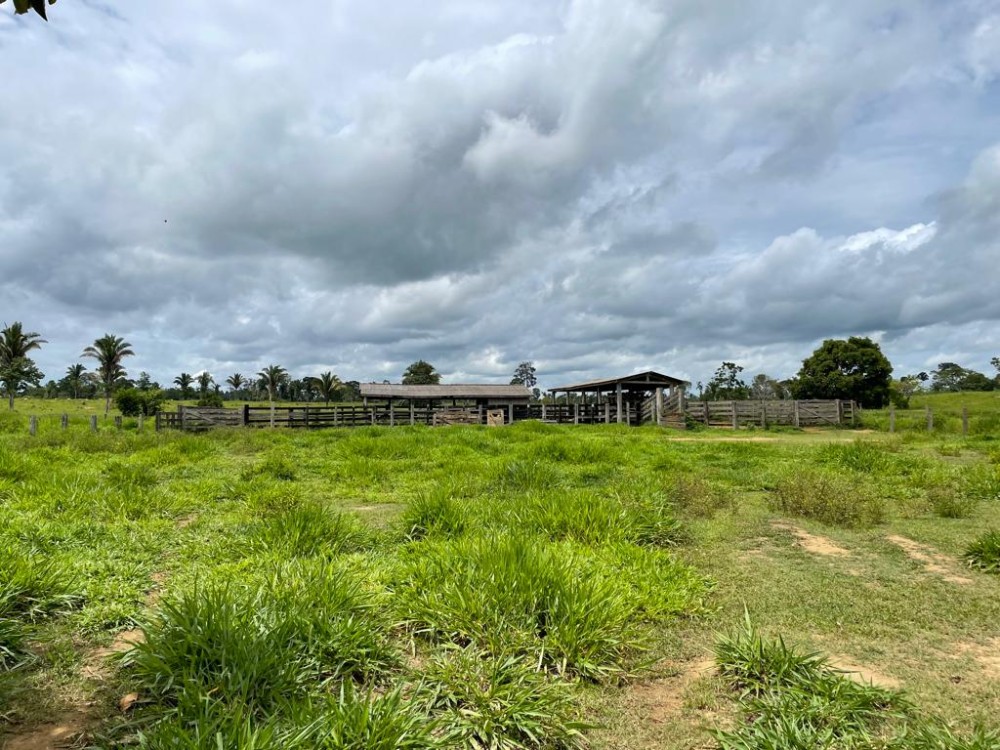 TERRA A VENDA   33KM DE THEOBROMA