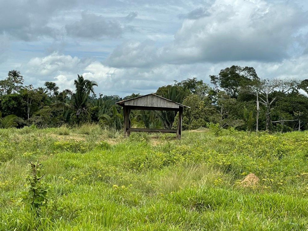 TERRA A VENDA   33KM DE THEOBROMA