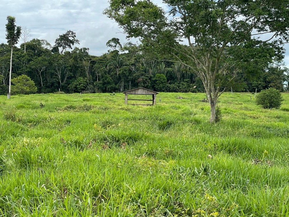 TERRA A VENDA   33KM DE THEOBROMA