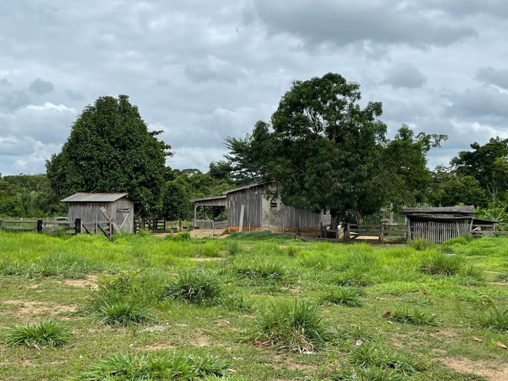 TERRA A VENDA   33KM DE THEOBROMA