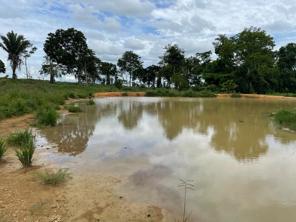 TERRA A VENDA   33KM DE THEOBROMA