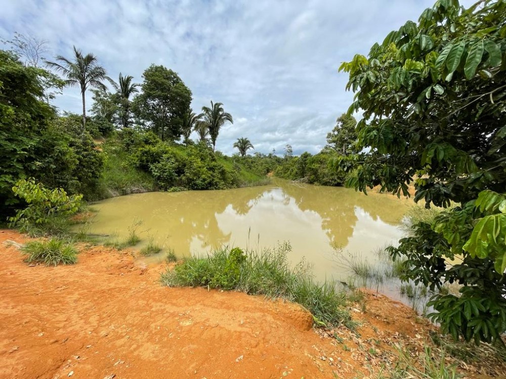 TERRA A VENDA   33KM DE THEOBROMA