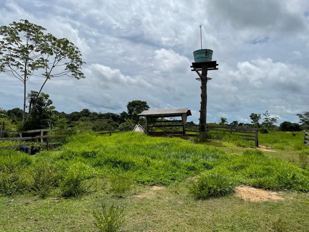 TERRA A VENDA   33KM DE THEOBROMA