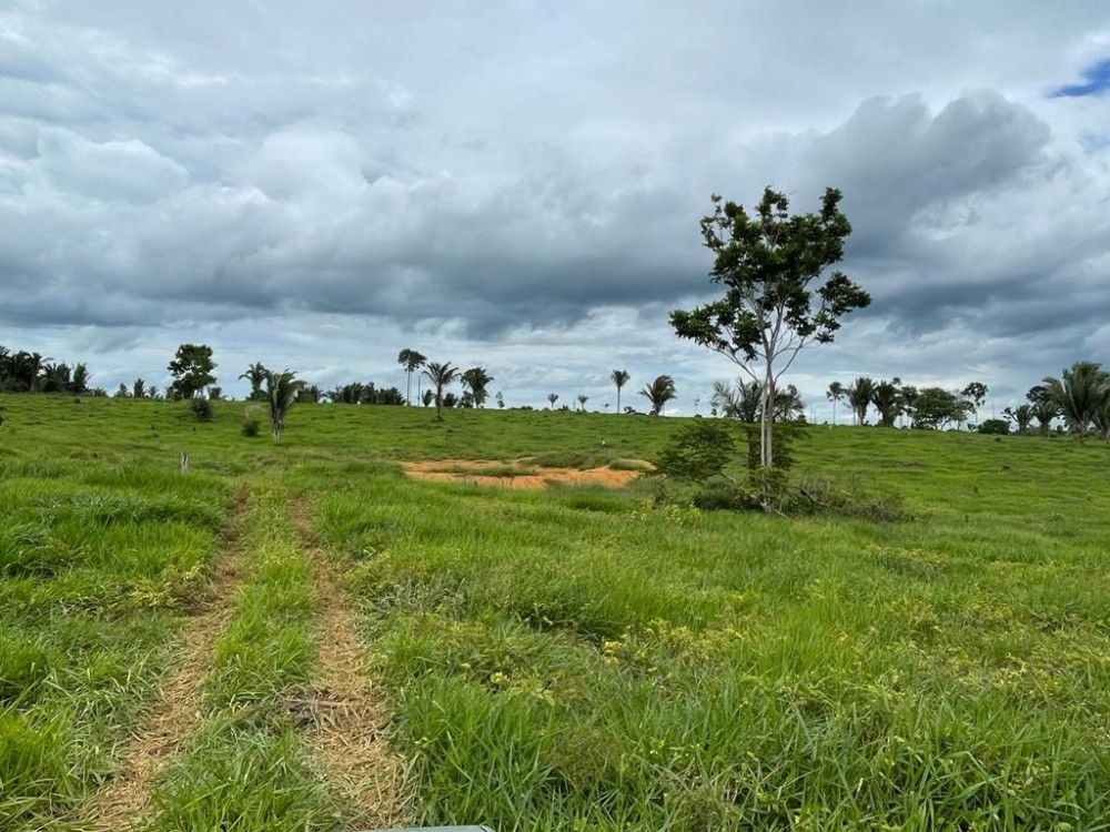 TERRA A VENDA   33KM DE THEOBROMA