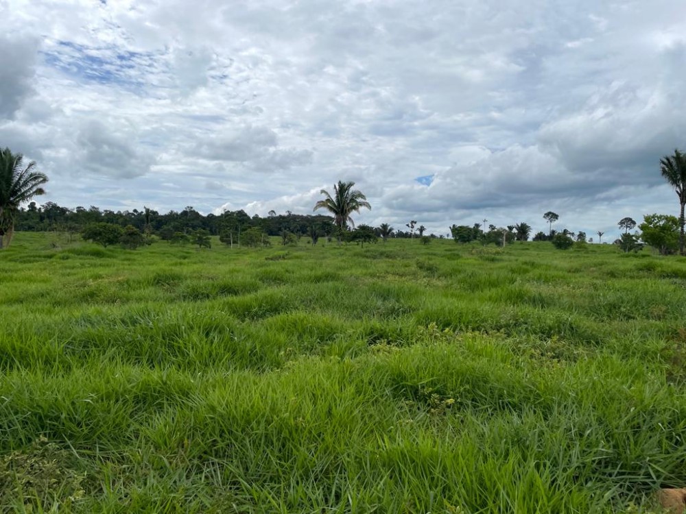 TERRA A VENDA   33KM DE THEOBROMA