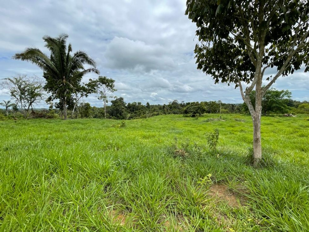 TERRA A VENDA   33KM DE THEOBROMA