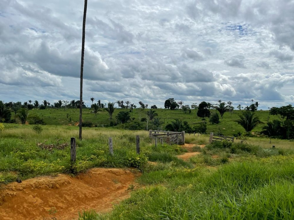 TERRA A VENDA   33KM DE THEOBROMA