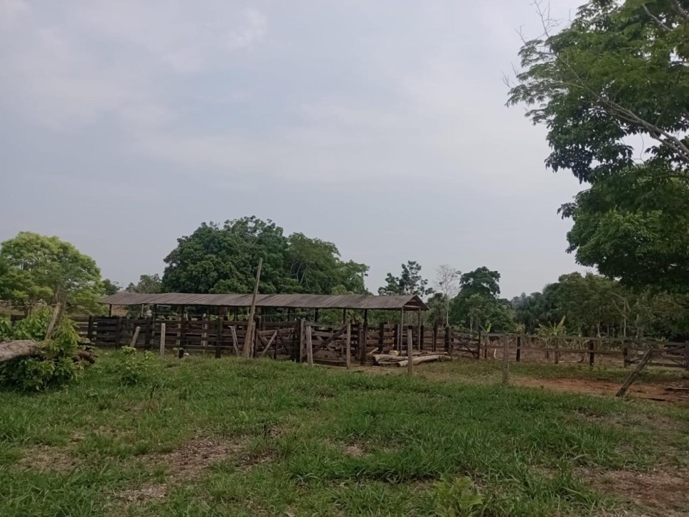 Terra a venda entre Jaru e Ariquemes