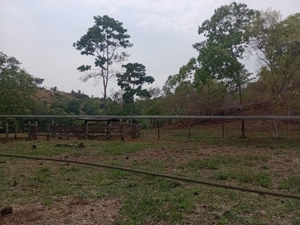 Terra a venda entre Jaru e Ariquemes