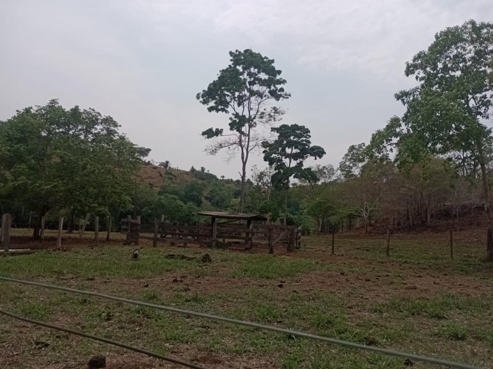 Terra a venda entre Jaru e Ariquemes