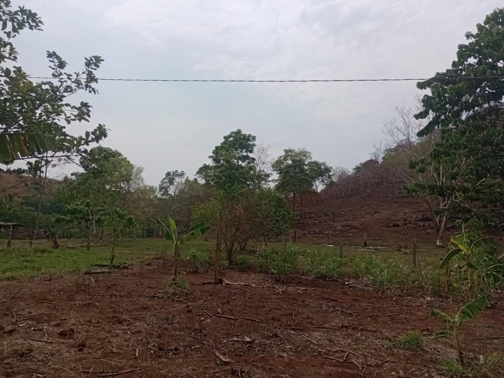 Terra a venda entre Jaru e Ariquemes