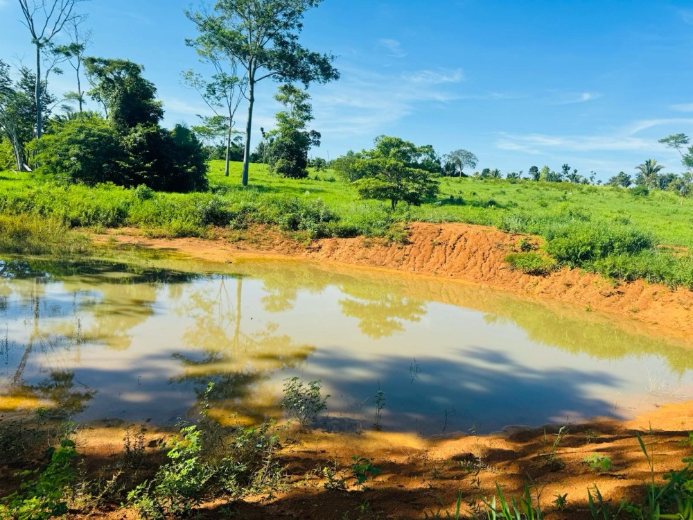 Vende-se chácara 4.5 alqueires na linha 603