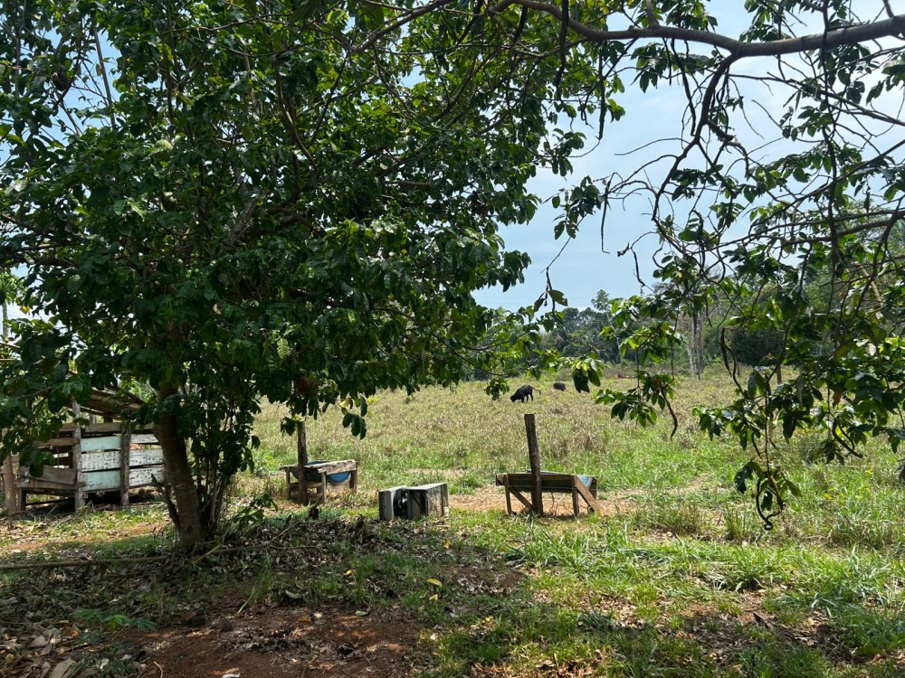 Chácara de 2.5 alqueires próximo de Jaru