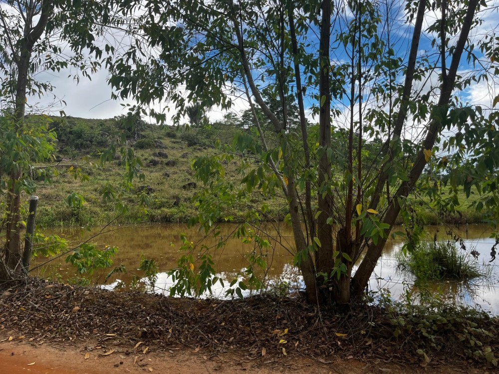 Vende-se terra documentada a 45km de Ariquemes