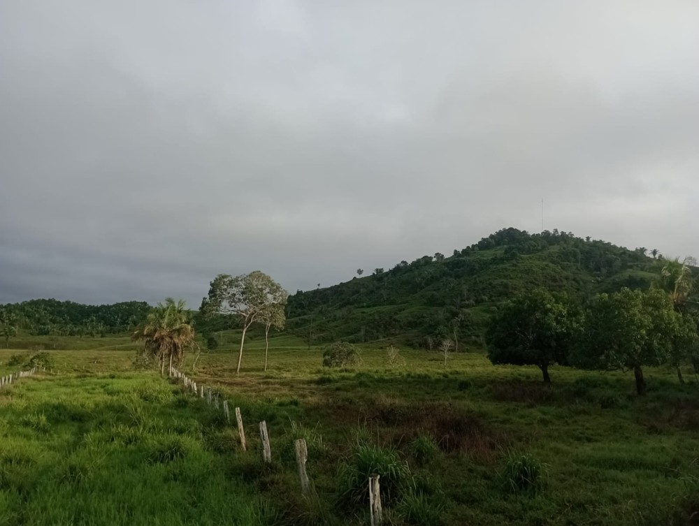 Vende-se terra 76 alqueires 30 km de Jaru