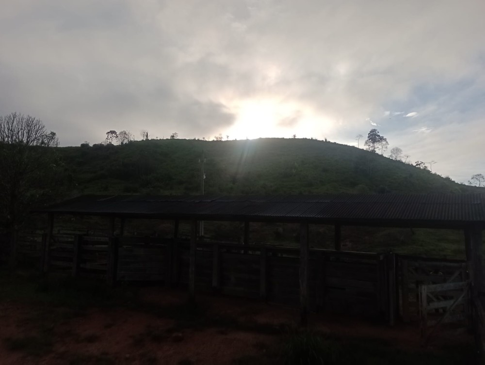 Vende-se terra 76 alqueires 30 km de Jaru