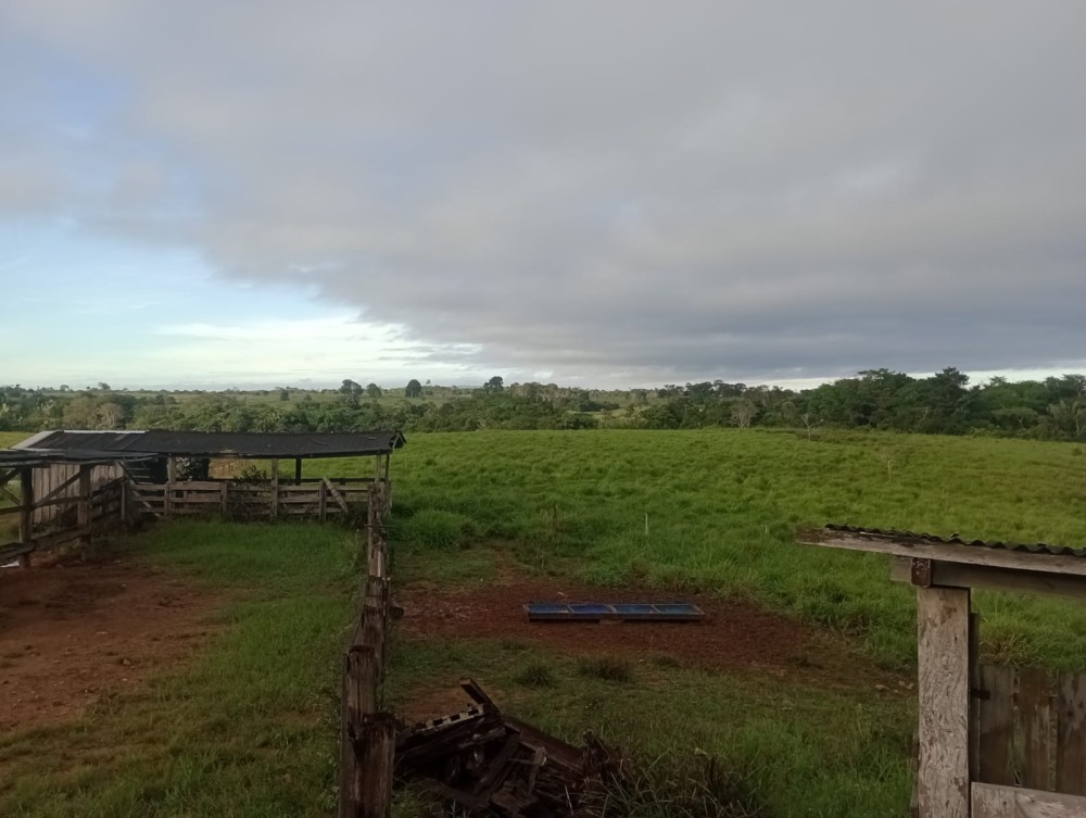 Vende-se terra 76 alqueires 30 km de Jaru