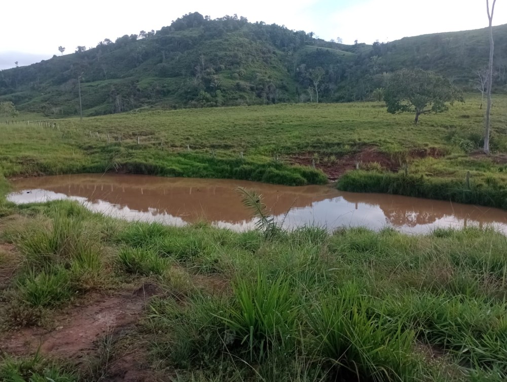 Vende-se terra 76 alqueires 30 km de Jaru