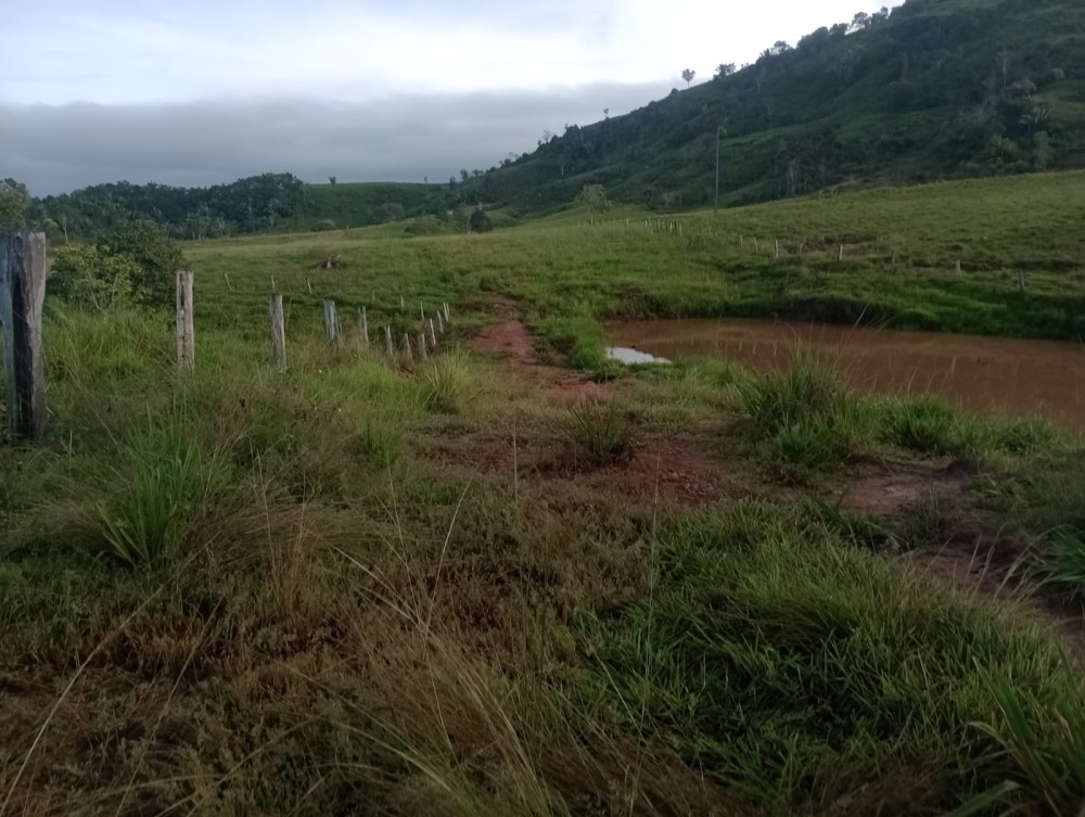 Vende-se terra 76 alqueires 30 km de Jaru