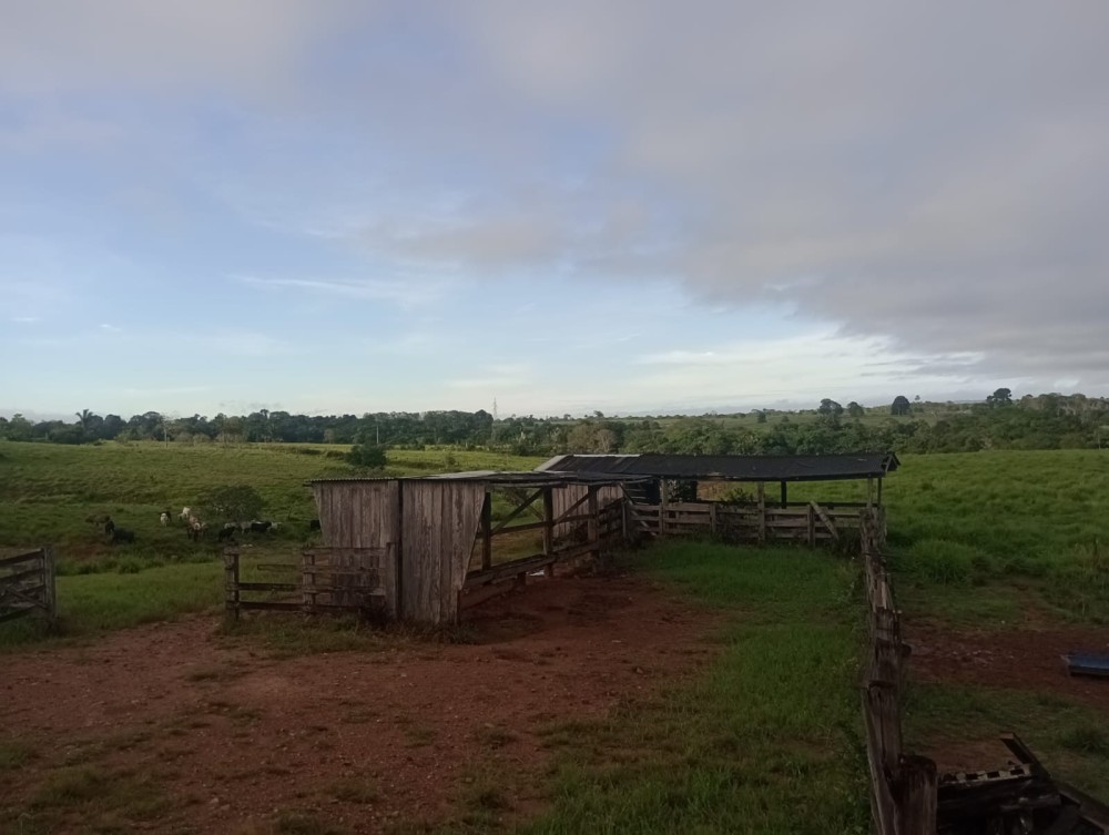 Vende-se terra 76 alqueires 30 km de Jaru