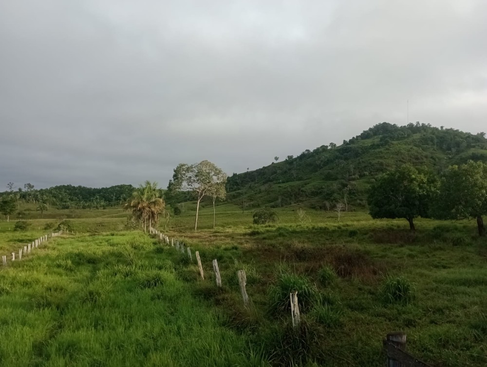 Vende-se terra 76 alqueires 30 km de Jaru