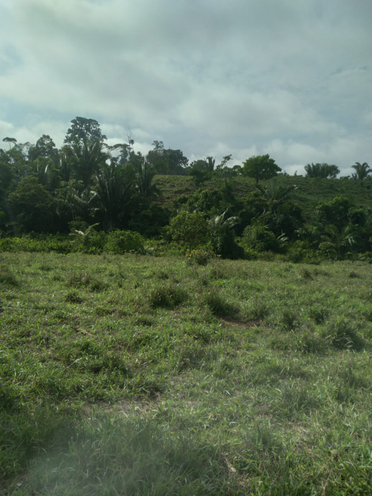 Excelente Oportunidade: Terra Escriturada com 23 Alqueires na 617