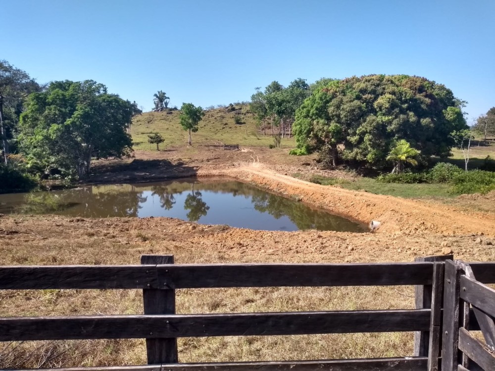 Excelente Oportunidade: Terra Escriturada com 23 Alqueires na 617