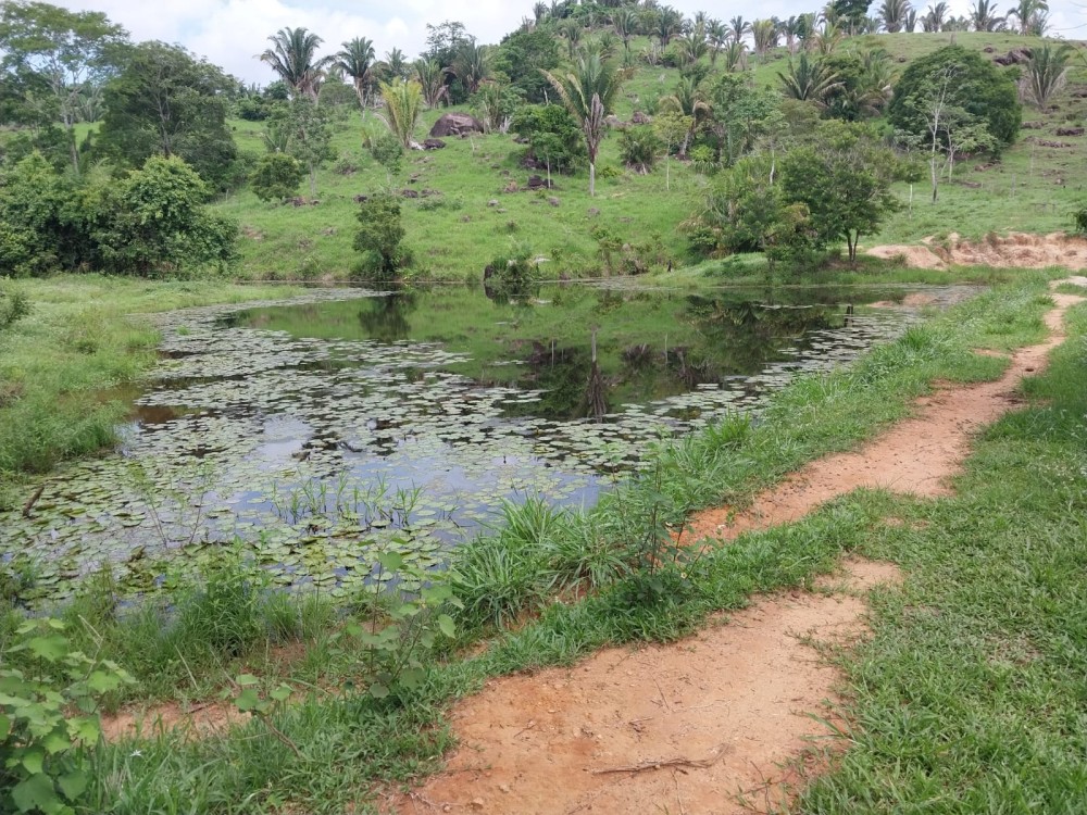 Excelente Oportunidade: Terra Escriturada com 23 Alqueires na 617