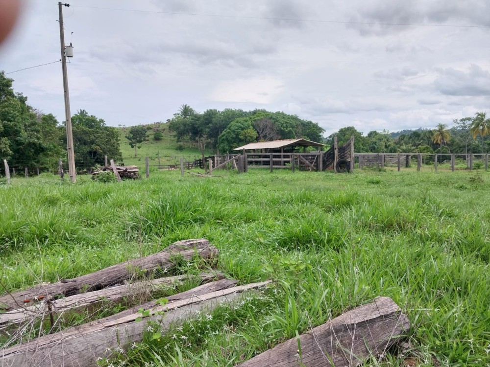 Excelente Oportunidade: Terra Escriturada com 23 Alqueires na 617