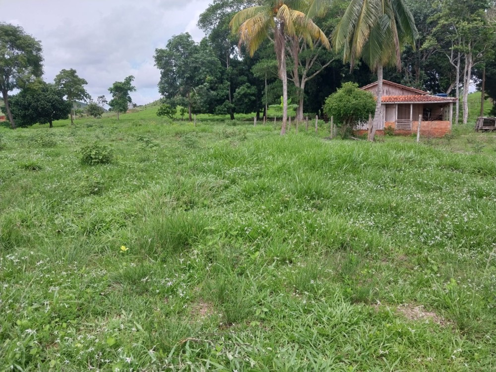 Excelente Oportunidade: Terra Escriturada com 23 Alqueires na 617